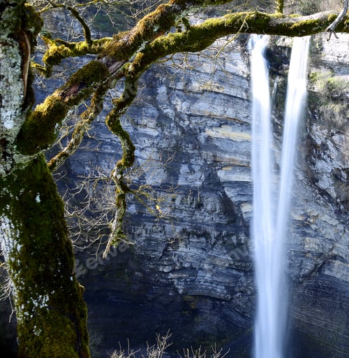 Preview: Autumn tree and waterfall