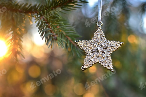 Preview: A gold Christmas star decoration hanging on a branch outdoors at golden hour sunset