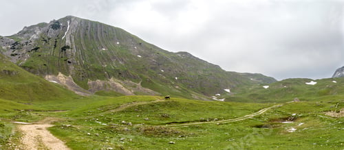 Preview: Green valley in mountains of Durmitor national park, Montenegro