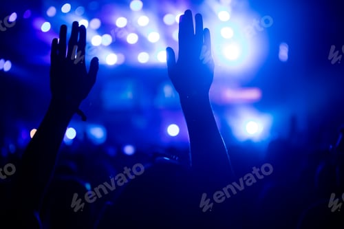 Preview: Picture of party people at music festival