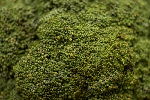 Preview: close up view of green ripe raw broccoli
