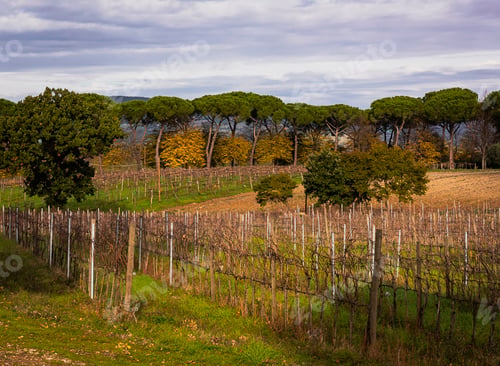 Preview: Tuscany landscape