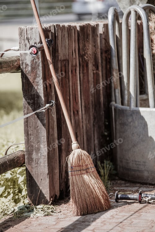 Preview: Vertical shot of a broom stand in the backyard next to a paddock on a wooden fence in a garden