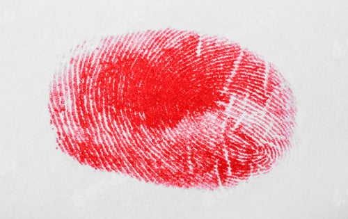Preview: Red fingerprint on white background. Friction ridge pattern