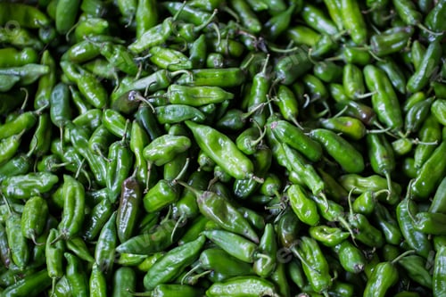 Preview: Fresh chilli is sold in the market. The Indian market in Mauritius.