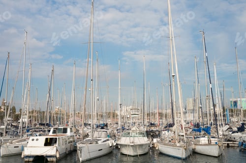 Preview: Scenic marina with numerous sailing boats and masts under a clear blue sky