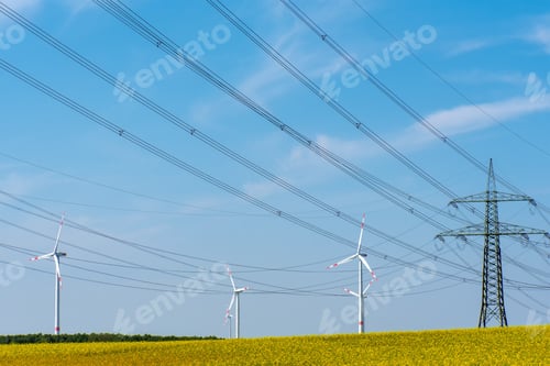 Preview: Power transmission lines in a field of flowering oilseed rape