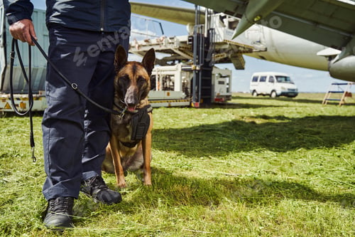 Preview: Security police dog on duty with officer at aerodrome