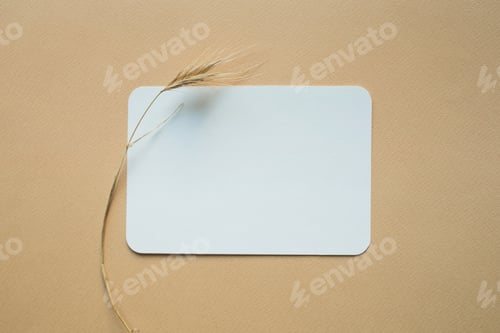Preview: Blank white business greeting card mockup, cereal dried flower on beige backgound.