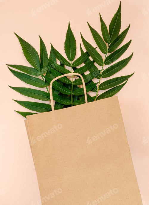 Preview: Craft paper bag mockup with green leaves on pink background. Zero waste concept.