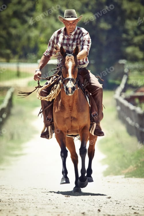 Preview: Yeeha. A cowboy on his horse.
