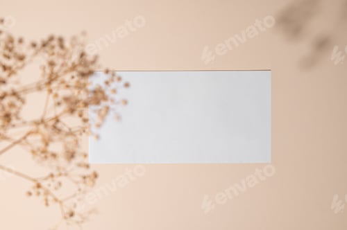 Preview: White empty envelope with dried flowers on a beige background with shadow.