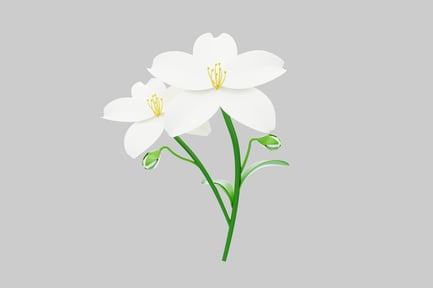 Preview: White flower with six petals and yellow stamens