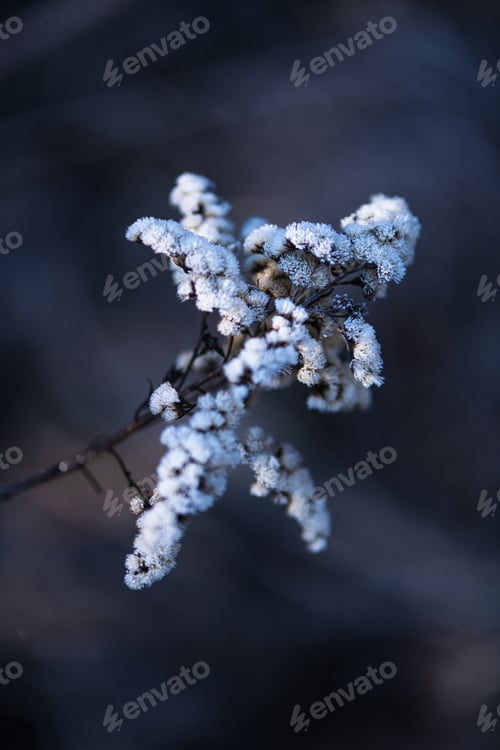 Preview: Soft Focus Autumn Leaves for a Natural and Warm Seasonal Background
