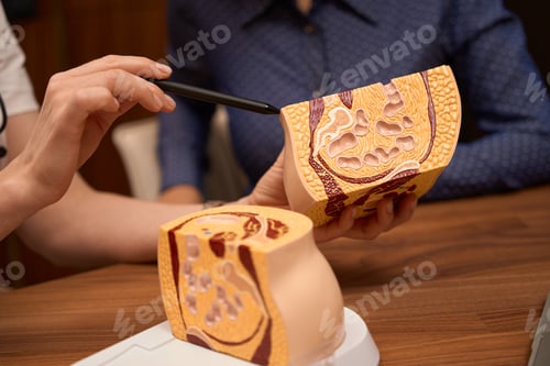 Preview: Lady looking at pelvic floor sample in clinic