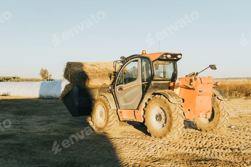 Preview: a man drives a tractor transporting straw bales at dawn on a livestock farm.