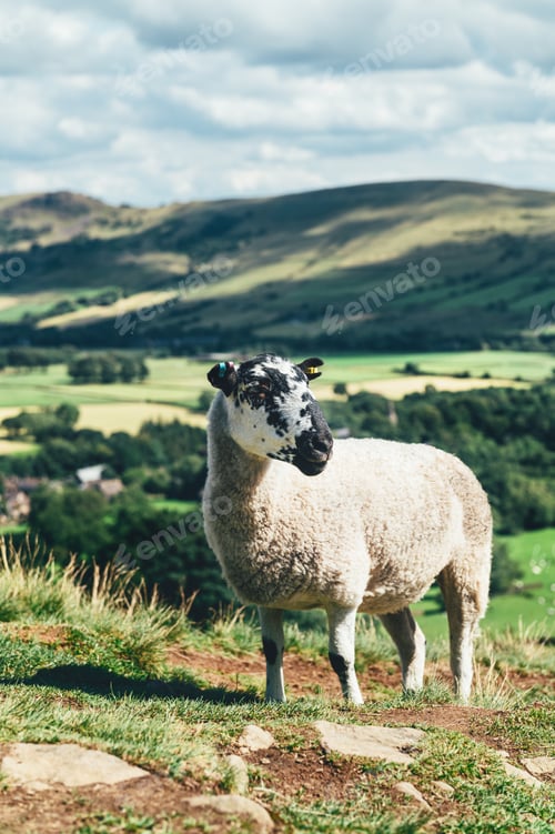 Preview: Edale staycation during summer