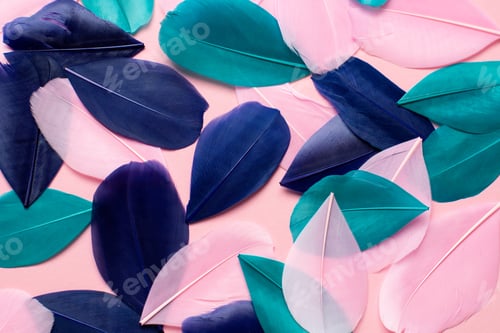 Preview: Beautiful abstract pink green and blue feathers on pastel background and soft white pink