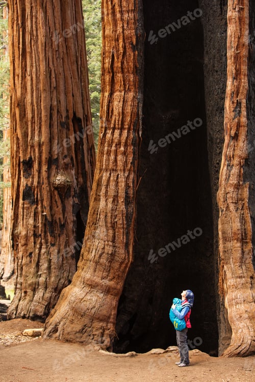 Preview: Mother With Infant Visit Sequoia National Park In California, Usa