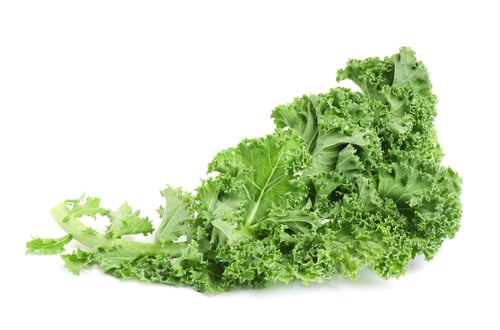 Preview: Fresh green kale leaf isolated on white