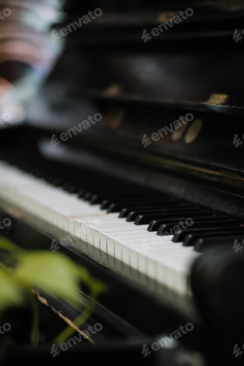 Preview: piano / musical instrument/ music / black and white