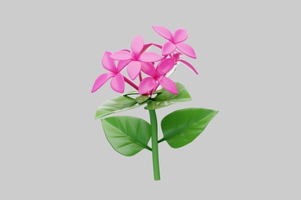 Pink flower blossom plant