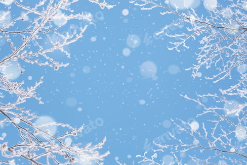 Preview: Winter background with frost on the branches