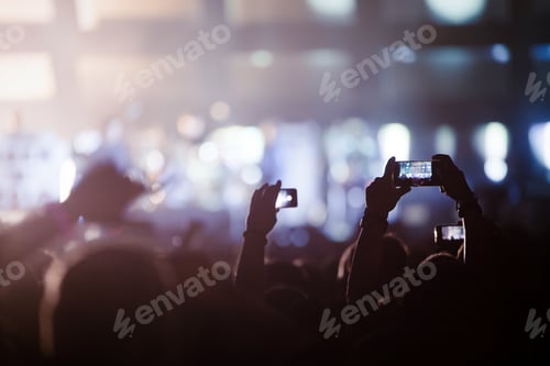 Preview: Picture of party people at music festival