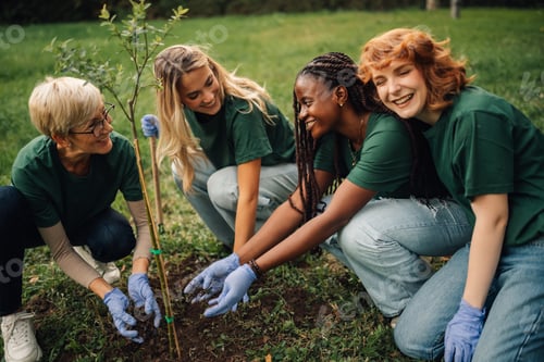 Preview: Group of volunteers planting a tree together
