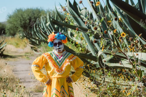 Preview: Mexican woman in colorful dress and skull makeup in the mexican desert