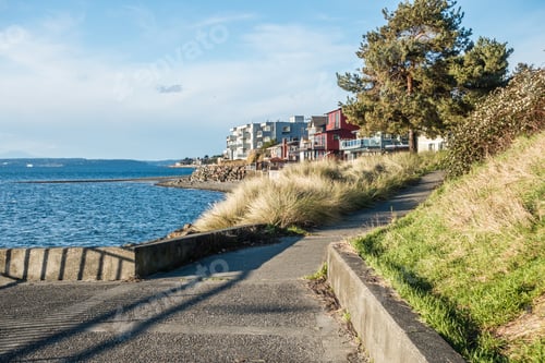 Preview: Bushes Line A Waterfront Walkway In West Seattle, Washington.