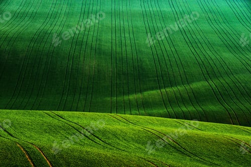 Preview: Detail scenery at South Moravian field during spring, Czech republic.