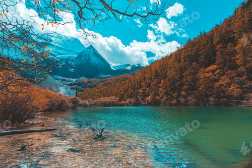 Preview: Colorful in autumn forest and snow mountain at Yading nature reserve, The last Shangri la