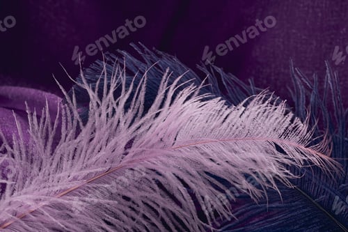 Preview: Wave of Elegant Violet Textile Texture with Fine Feathers