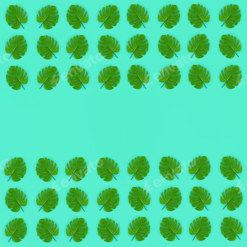 Preview: plant