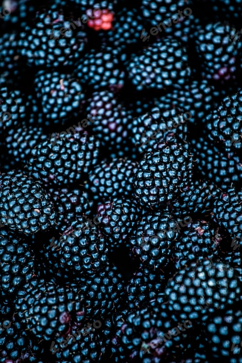 Preview: Close-up of ripe blackberries
