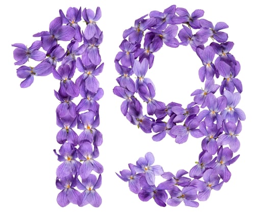 Preview: Arabic numeral 19, nineteen, from flowers of viola, isolated on white background