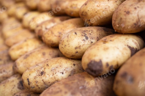 Preview: Local Market with Fresh Potatoes