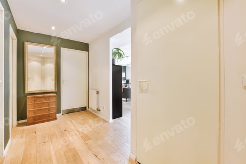 Preview: Doorway of modern apartment with white walls and parquet floor