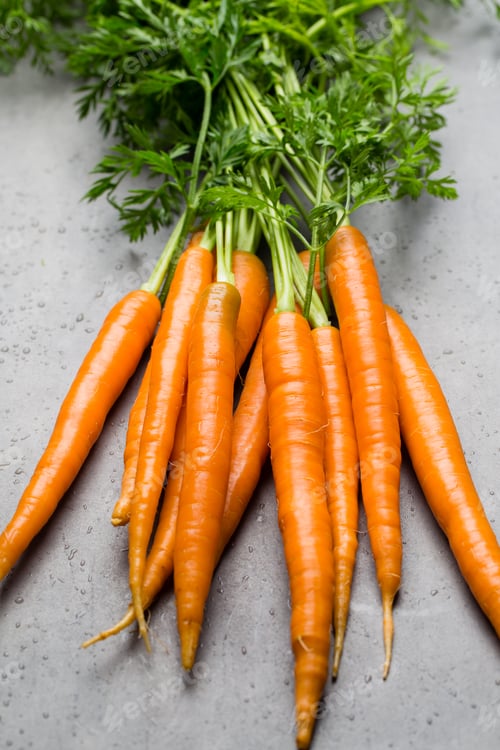 Preview: Fresh carrots on the gray backgrounds.