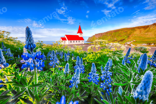 Preview: Splendid view of Vikurkirkja christian church in blooming lupine flowers