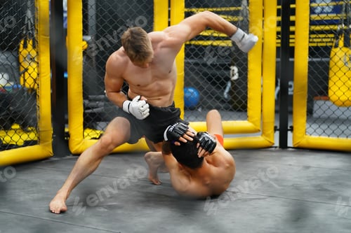 Preview: Mixed Martial Art, When the opponent is knocked down throwing fists into an opponent's face or body