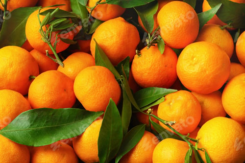 Preview: Tangerines (oranges, mandarins, clementines, citrus fruits) with leaves