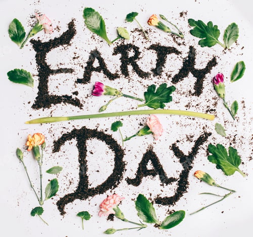 Preview: Earth day background with wild spring flowers petals, leaves and stems