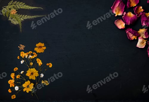 Preview: slate with space text