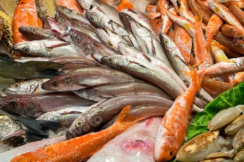 Preview: Different kinds of fish for sale
