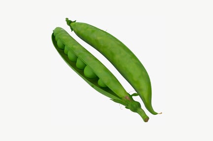 Preview: Elongated peas within a pod