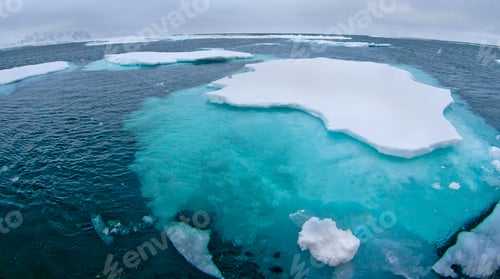 Preview: Drift floating Ice, Albert I Land, Norway