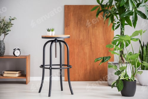 Preview: Black table between wooden cabinet and plants in grey living roo