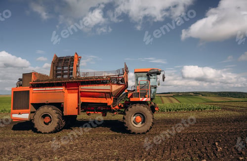 Preview: Beet harvester is on the agricultural field at daytime